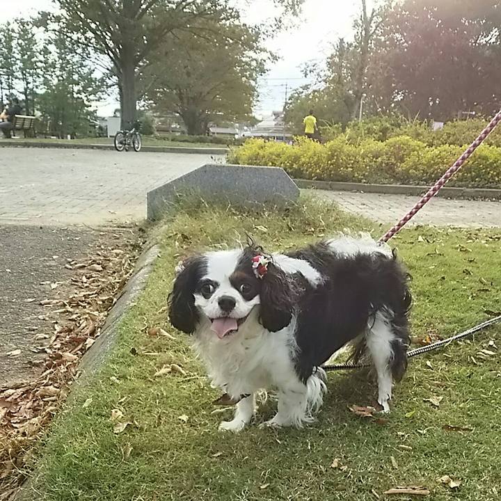 0d4c3846 6c00 4681 9bcc 31c9082fa274 1540017507991