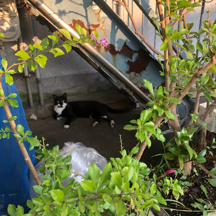 0d4c96f7 541b 4ee3 81a2 62034333a53e 1599975325526