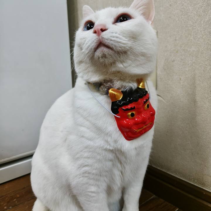 0d4d1ff9 09fb 4bb2 98dd 0996ede05893 1770120063805