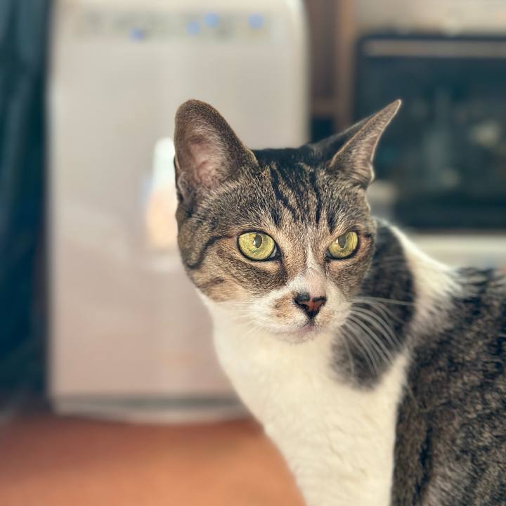 0d4d4d79 f220 4023 a1ae cda190cc3e91 1669595422376