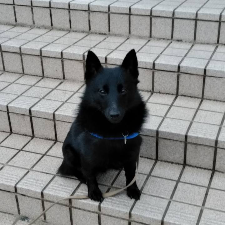 0d4d5b98 da3e 41ee 9514 33a0e736dfcd 1556055814105