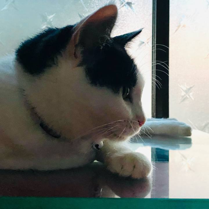 0d4d7775 a210 4c93 8b65 f2b5cd3b6806 1691063888179