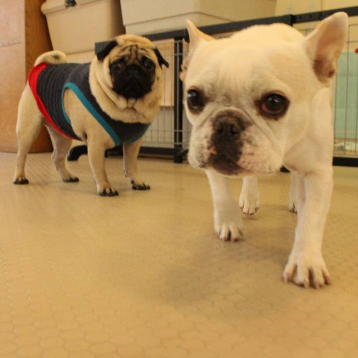 0d4d8fe3 8410 40b9 9073 d865a1651567 1520336755774