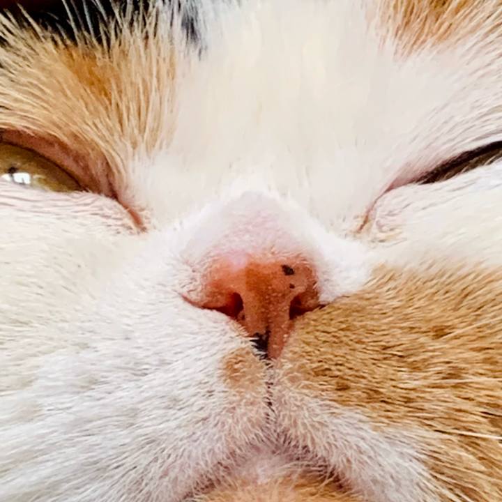 0d4da080 3966 4a09 a726 30b0b56df5d1 1604710157154