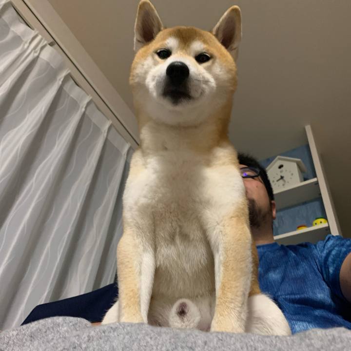 0d4db33b a03c 404e a4d5 6e59b2ab5423 1621308025733