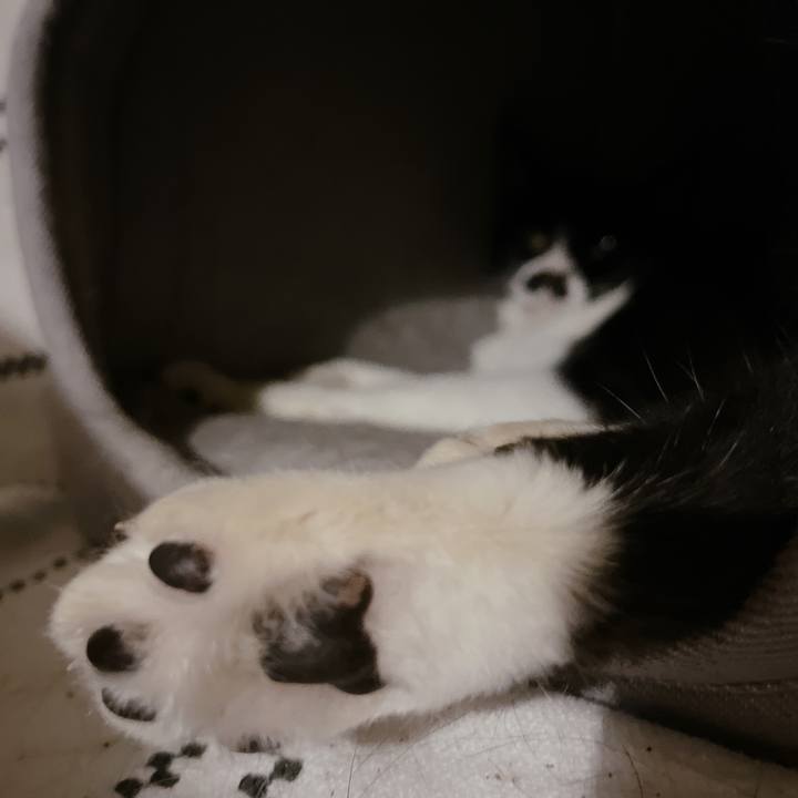 0d4dc799 27ba 40fc 9b83 1c7f7defa3b5 1693485428109