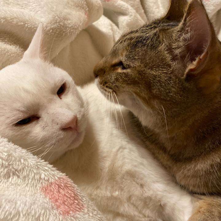 0d4de627 3bc3 4e92 90d2 d1a4fd916d5e 1637011255577