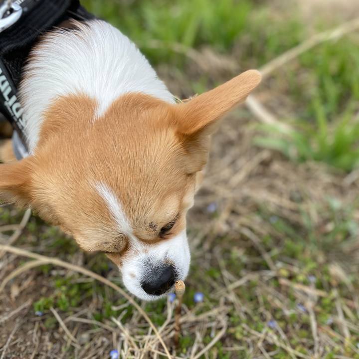 0d4de88f 60d5 4184 b654 a249a5146e3b 1616256317690