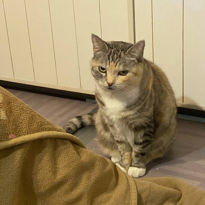 0d4deffc 5347 47f4 b41e 36a5b4f78563 1667595812681