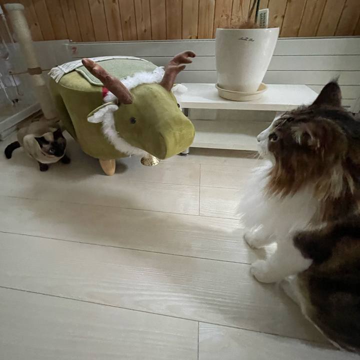 0d4df1b0 db6a 4e34 88cb 52e4b18bc182 1724355968728