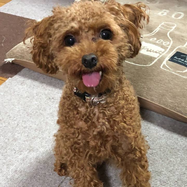 0d4e2533 2566 47b2 a816 09ad6e0f9ce3 1527718543079