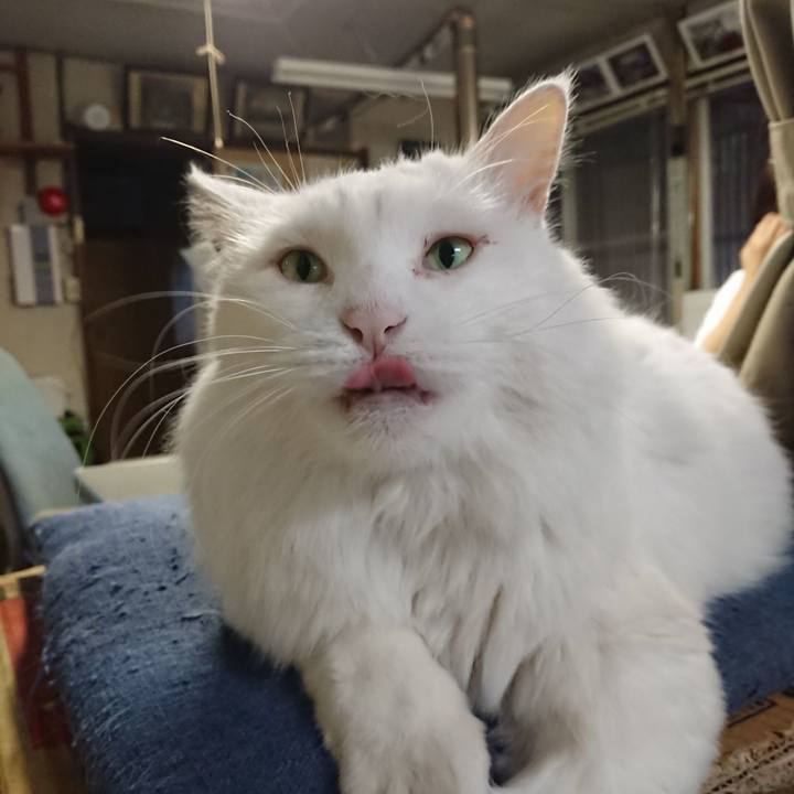 0d4e6c28 020f 4141 b2b1 97e71f1c21a5 1572301430323