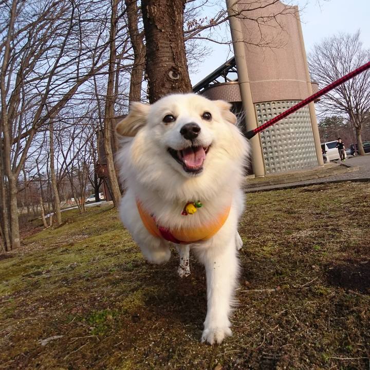 0d4eaa9d e990 49db b3d4 52c3edb35c53 1519608589737