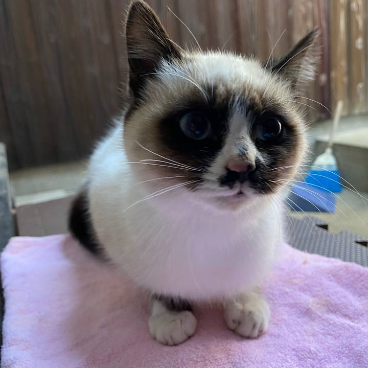 0d4ed882 1b02 48a2 98e2 97cc810ed040 1675602098207