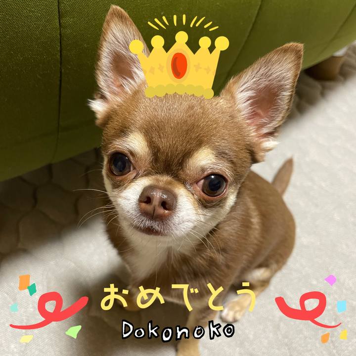 0d4efa30 3622 491b a069 00318055c627 1685975814274