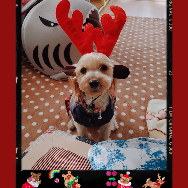 0d4efdb2 d750 4aeb 8790 1bd0eab3c9fe 1577163358489