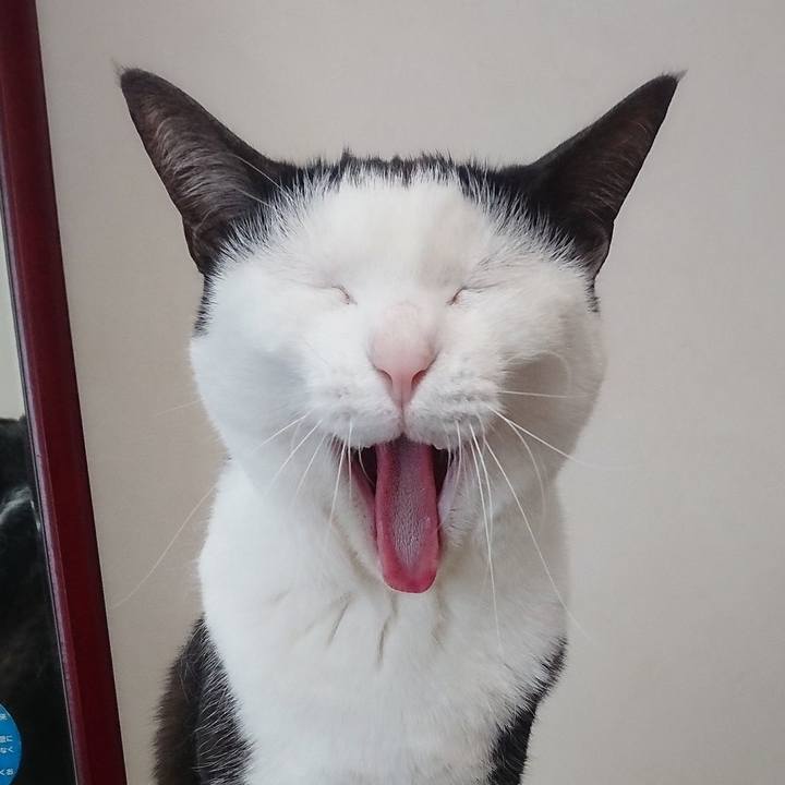 0d4f03d3 1ae6 4612 bd79 34923328e9b7 1554523541559