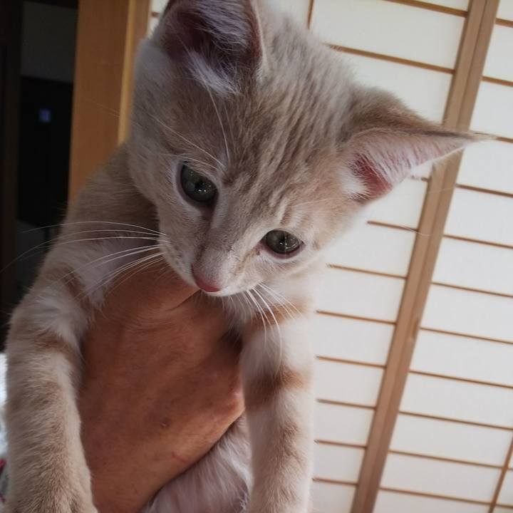 0d4f2102 583e 4b2a 88ed a352ef862af2 1540683169175