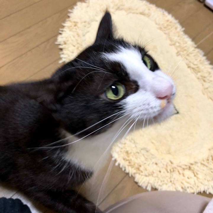 0d4f76d8 5e20 4be6 befa 7b323aa2cddb 1537860515690