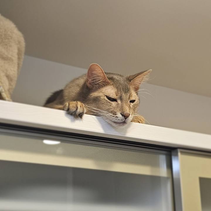 0d4f9e0f 09ab 425b bb4d 8a0e686498a5 1763438243116