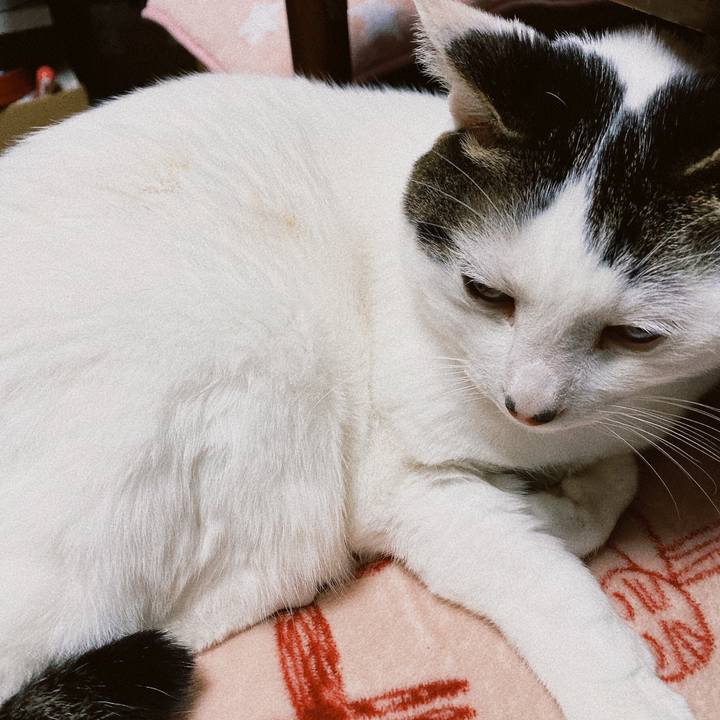 0d4fa1c9 af41 49bd b210 ec3a73b92854 1642164392918