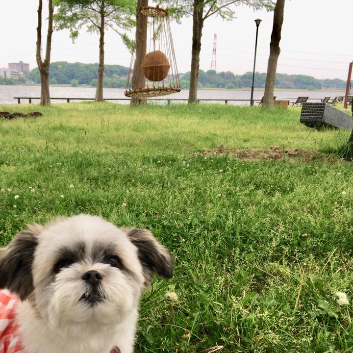 0d4fa2fc 2698 4a55 9047 aa5fcbd88e45 1525406478632