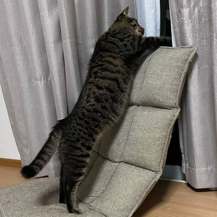 0d4fd445 6750 4d2b a769 3a9e4261e6e8 1628251048061