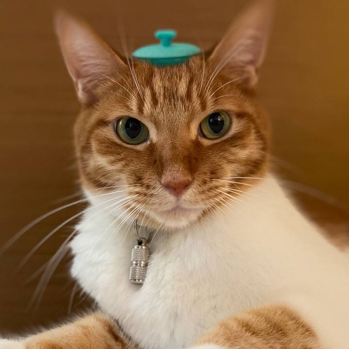 0d4fed9a ecf0 4ca2 a1e1 96421eb9f8fe 1688775335029