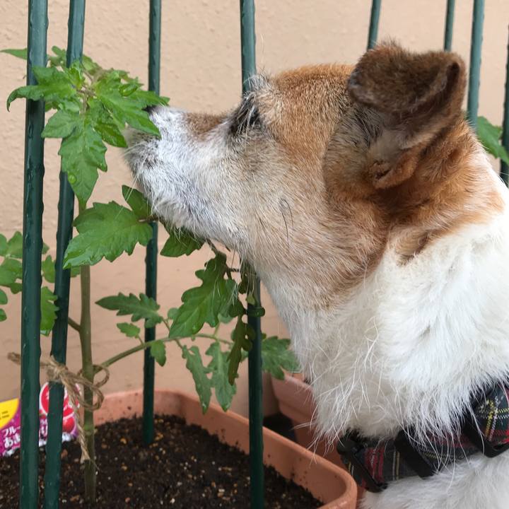 0d502748 2c66 46ad 9d96 4d3b062267c6 1621038303206