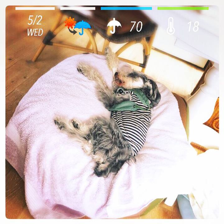 0d502d94 88a8 4a1b 9ca5 9e4384232804 1525223237183