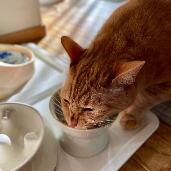 0d505b4a a5fe 465f 864a 013430f510db 1667093550115