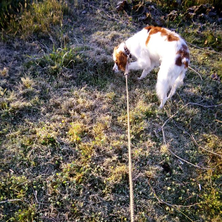 0d506f30 5bcb 447e a9db d3bd7e29c3dc 1510531177369