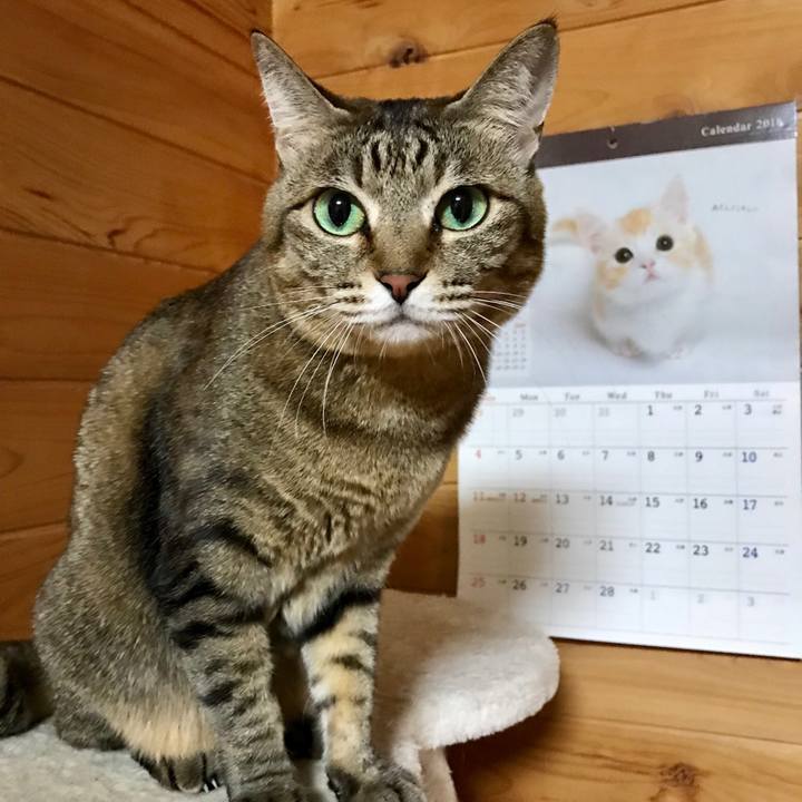 0d508eb4 13c0 4c36 a51b 5e4637153aba 1518161564384