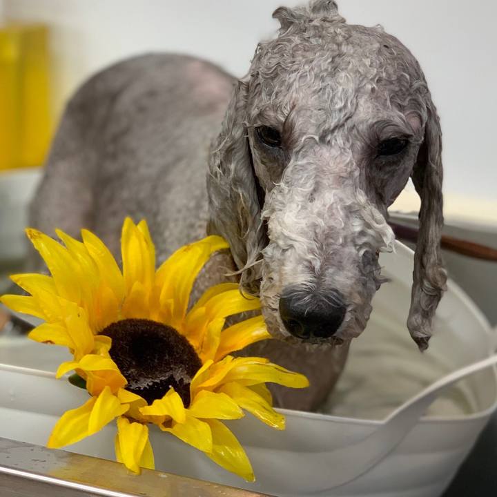 0d50b856 55bf 4c62 a76a fb13906ef184 1663936187215