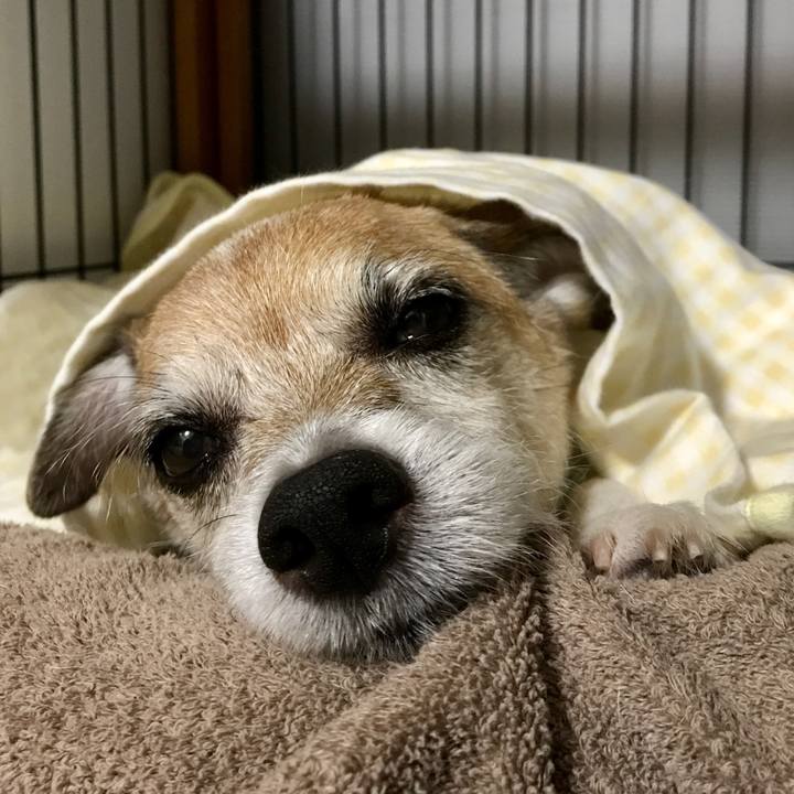 0d50c5ed 487d 4906 b706 29cf198a90e7 1631977522685