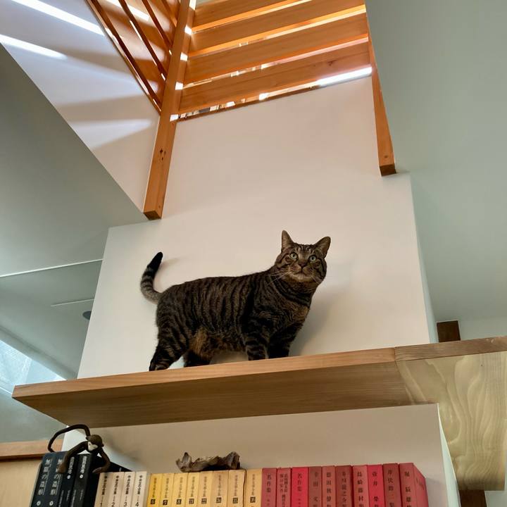 0d513d7c 3b13 48e0 a6b2 bd12d2a5e15c 1682380286659