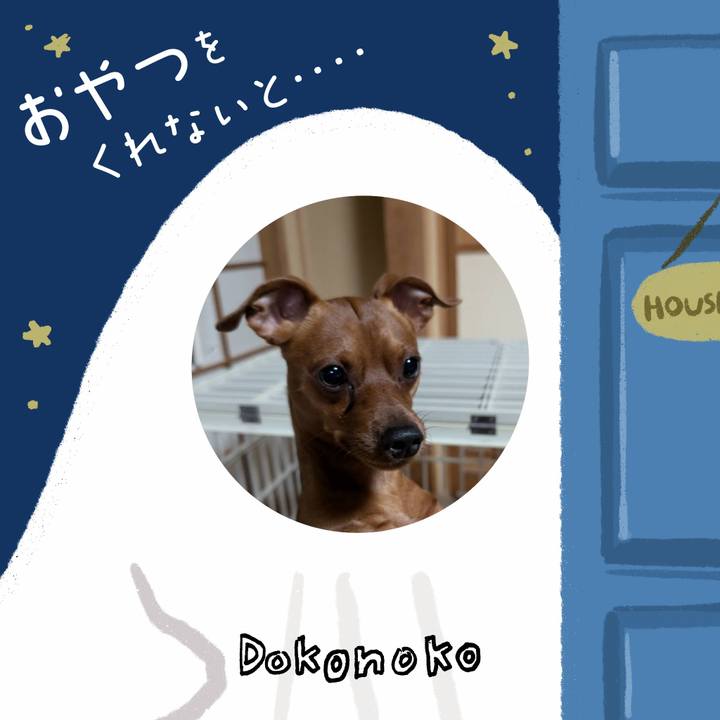 0d517485 d740 4039 81fc a1805957c558 1730528829257