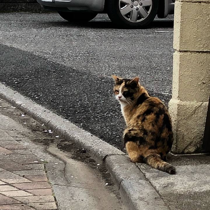 0d517a0a c0fe 47bc 94b9 239a1fba66ef 1522170084943