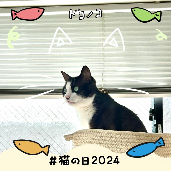 0d51c383 cad3 4238 bef6 74410d3be553 1708589273387