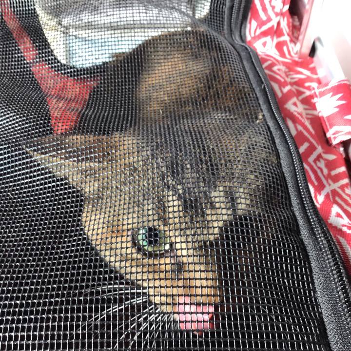 0d51e5bf 6548 4df6 8a88 ab07ba57f62a 1605233535266