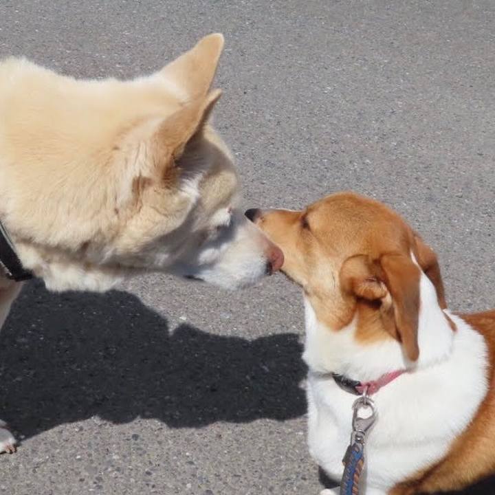 0d51e89a 9352 42b9 97c3 84425a69a320 1687139822542