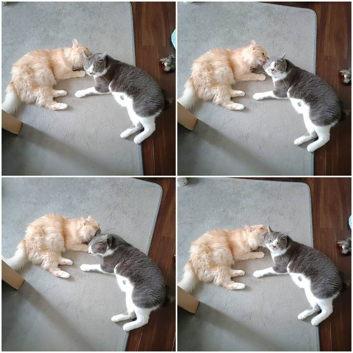 0d52199c 1aae 42e3 8c22 8776fe116966 1725780962177