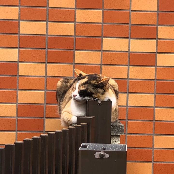 0d52290e 7cf6 4ca6 837e 9b56fd41c719 1589721099101