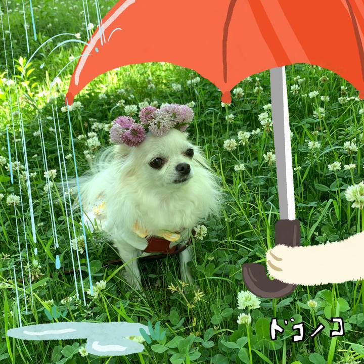 0d522adb 3dc8 4175 b7a2 48ce0e3aefd3 1749436728514