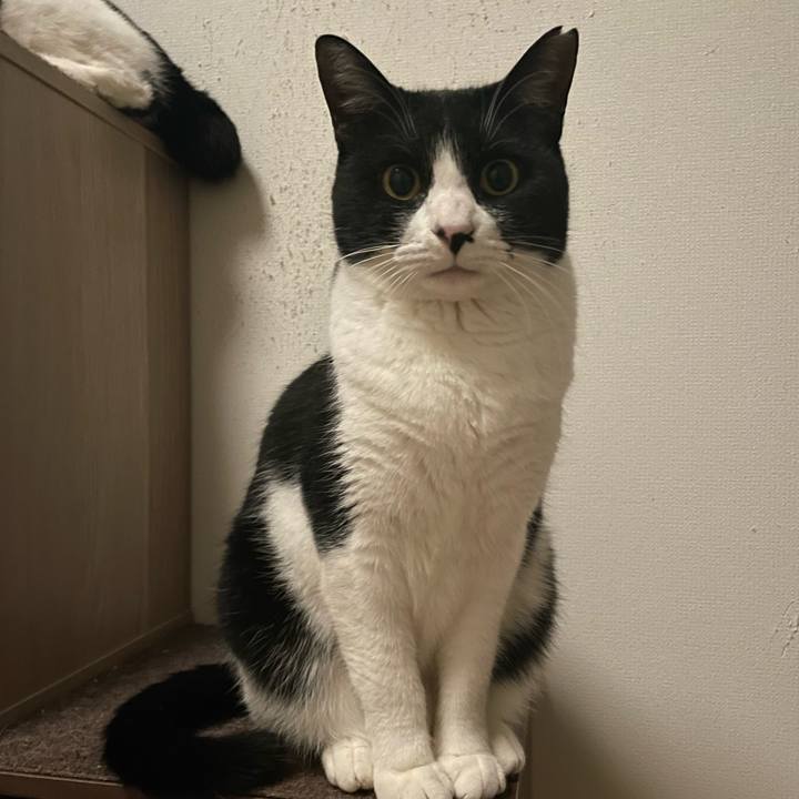 0d52519c 1ae8 43dc 909a 5e86f5d579aa 1706609105384