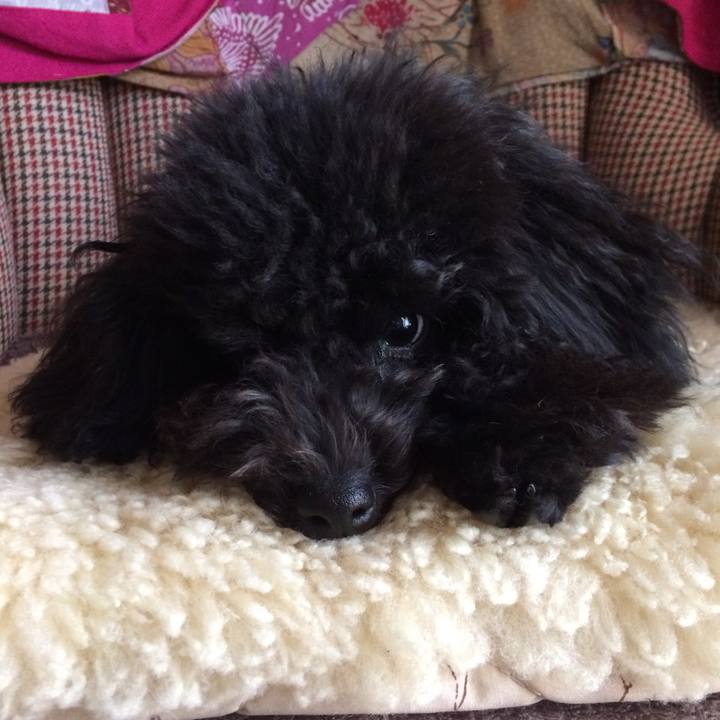 0d525a77 b4b8 4707 8ae7 10c46a7cb02b 1510534804918