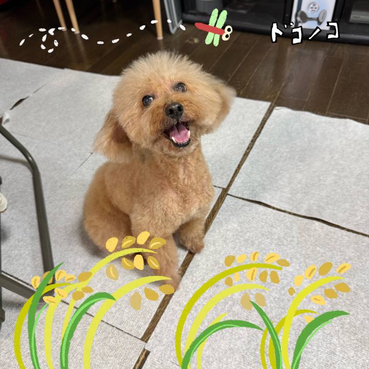 0d52626f 3a69 40d3 858a 6e75b7af2243 1761687361169