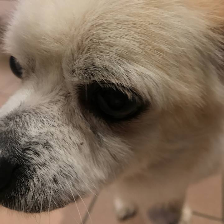 0d52ae48 4d52 4de7 89be 82ea2fdda18d 1512996325451