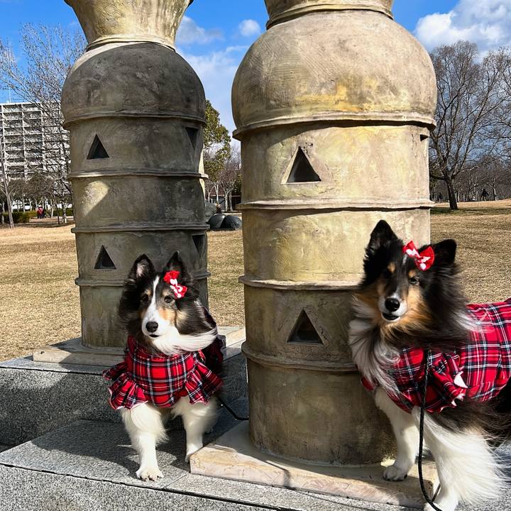 0d52b07a a042 4fdd ba12 eb0f932b0351 1704826215600