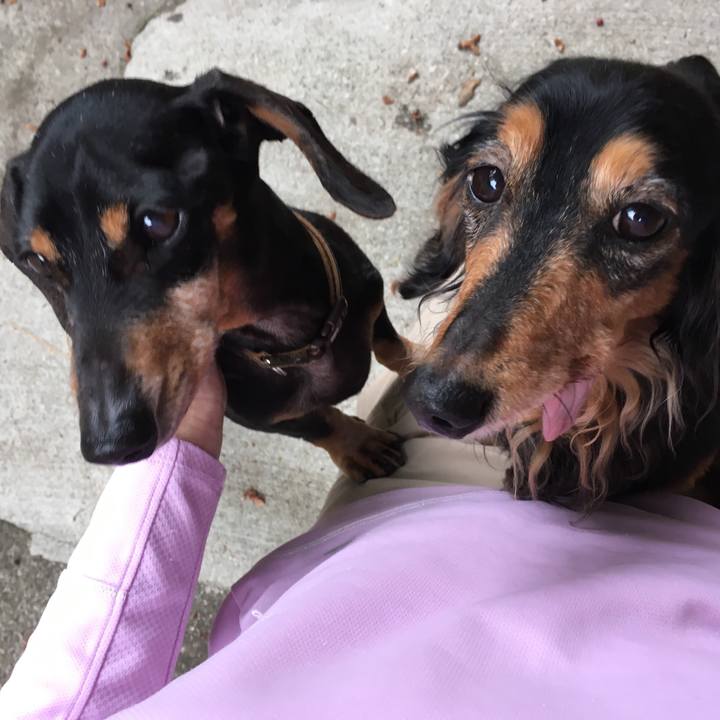 0d52c676 23b9 4c62 85ce 9570c0aa0f98 1559216422257